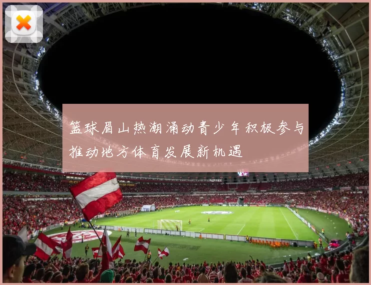 篮球眉山热潮涌动青少年积极参与推动地方体育发展新机遇